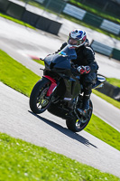 Lower Group Black Bikes